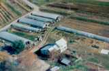 Dutton's Home Farm